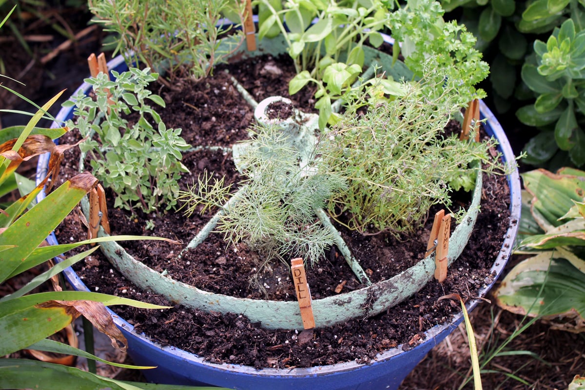 Herb garden design - make a rustic herb garden with an old wheel! Plus instructions on making clothespin herb markers!