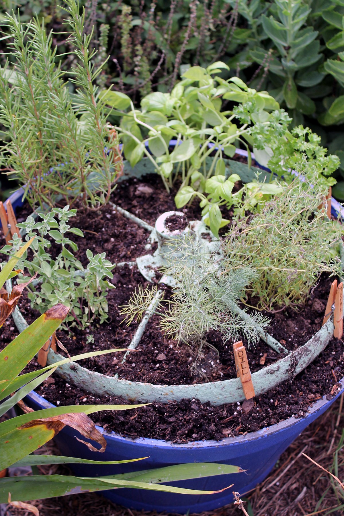 Herb garden design - make a rustic herb garden with an old wheel! Plus instructions on making clothespin herb markers!