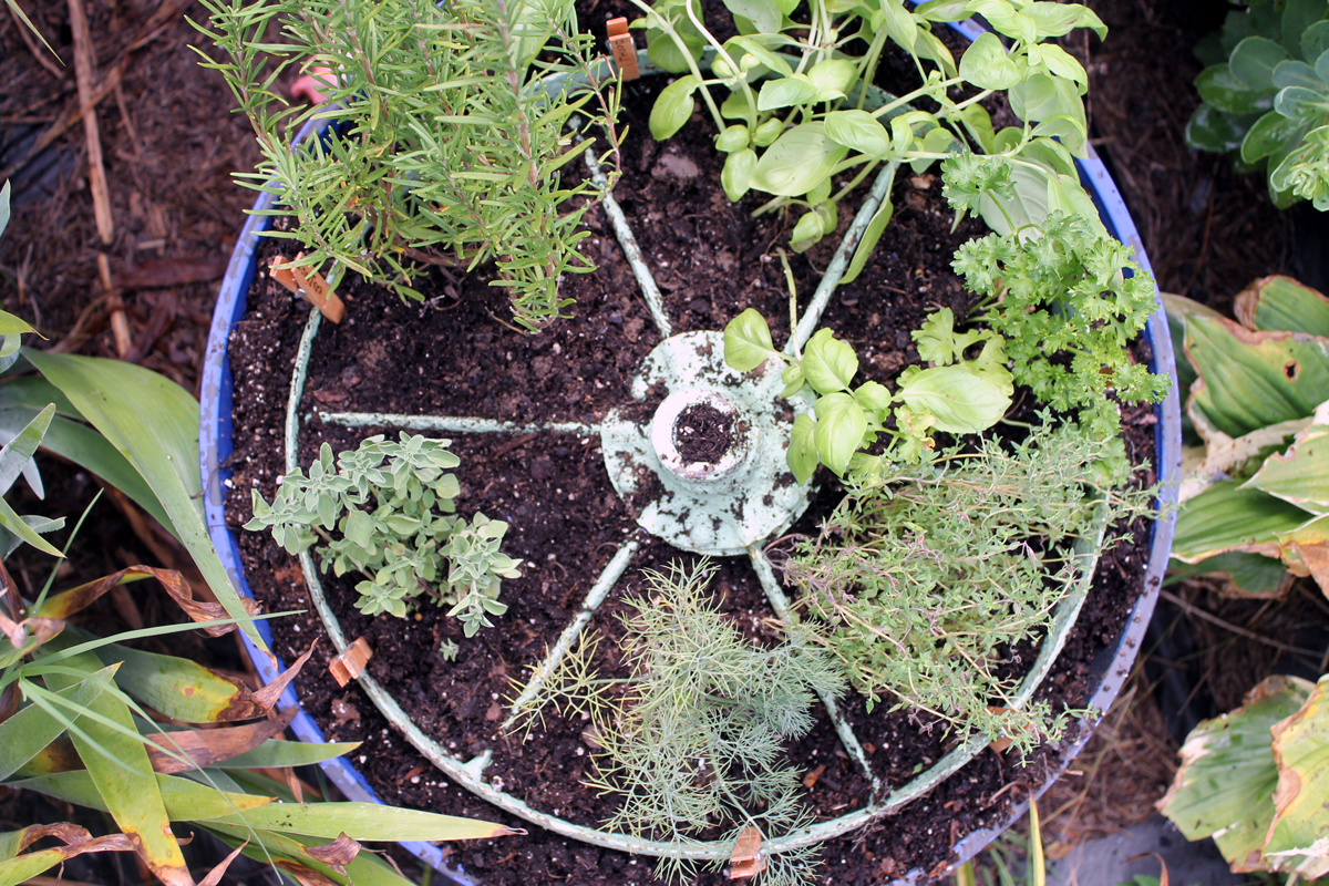 Herb garden design - make a rustic herb garden with an old wheel! Plus instructions on making clothespin herb markers!