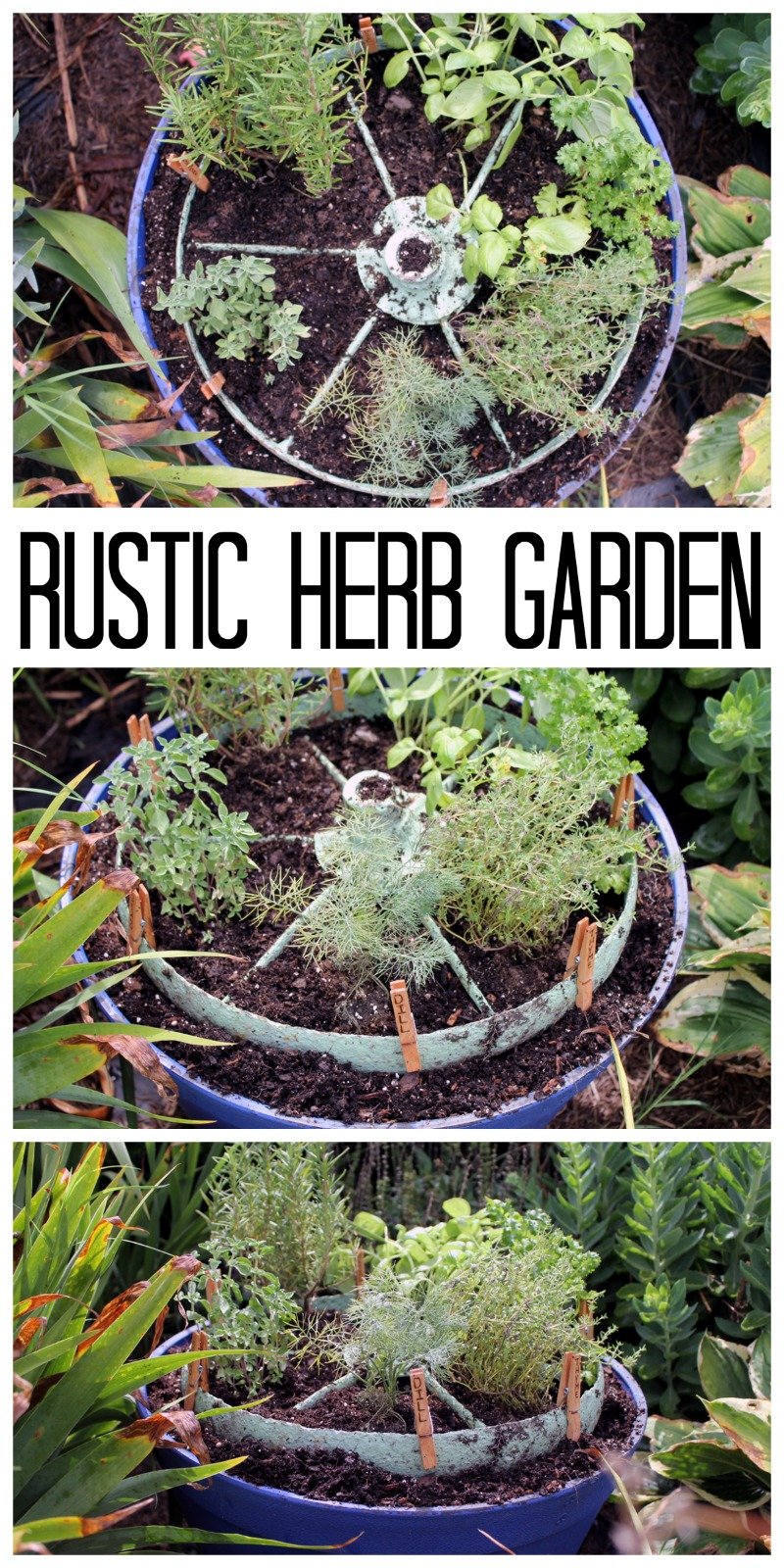 Herb garden design - make a rustic herb garden with an old wheel! Plus instructions on making clothespin herb markers!Herb garden design - make a rustic herb garden with an old wheel! Plus instructions on making clothespin herb markers!
