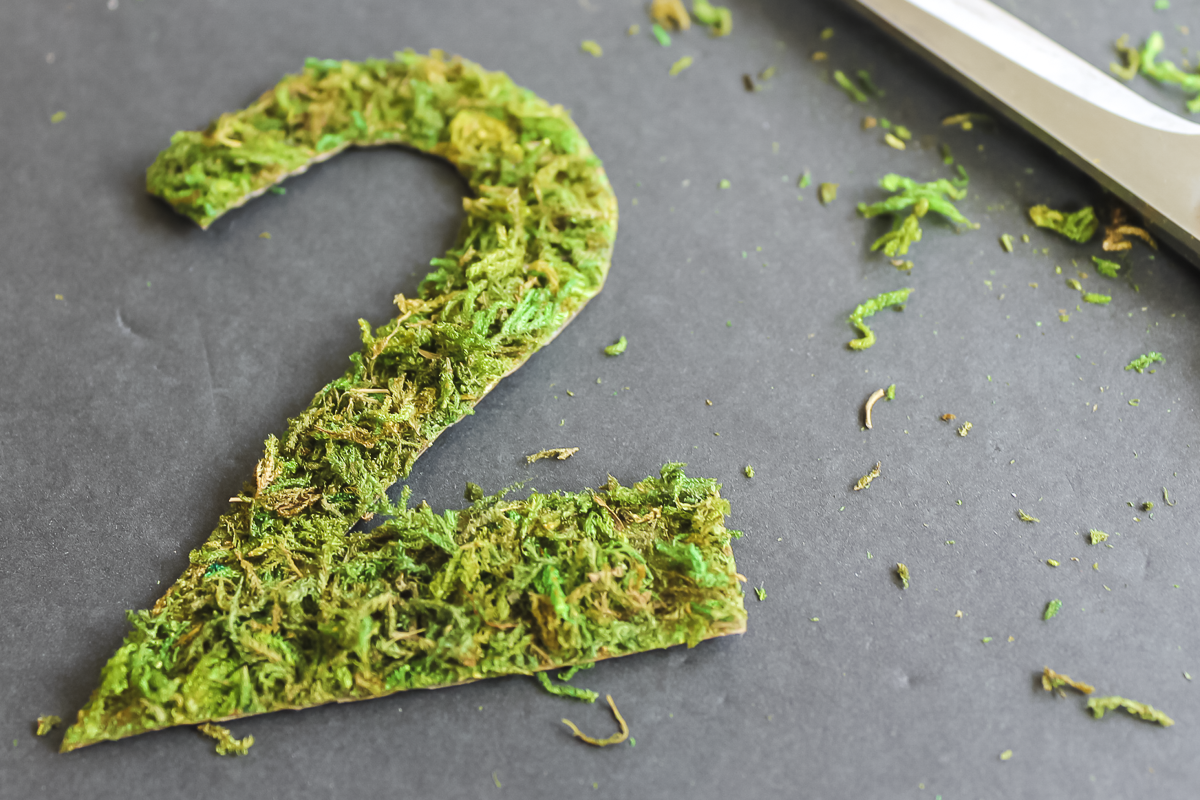 cutting a sheet of moss into a number shape