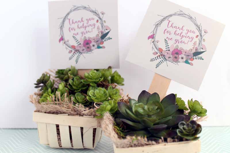 assembled artificial succulent gift with tags