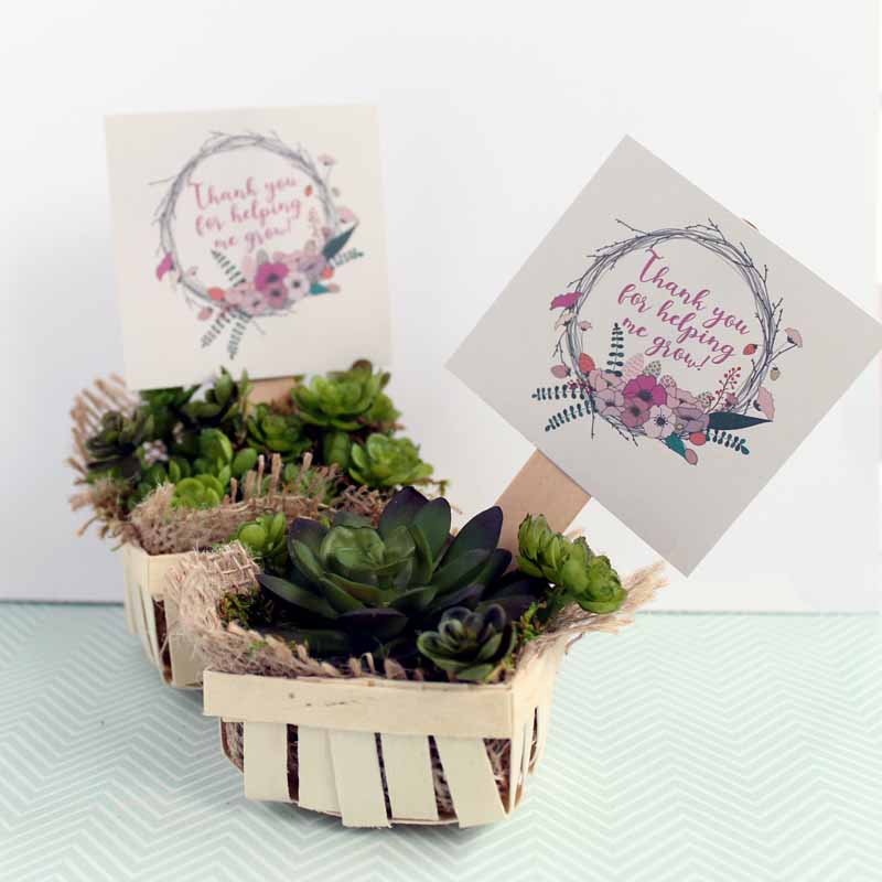 artificial succulents gift with tag