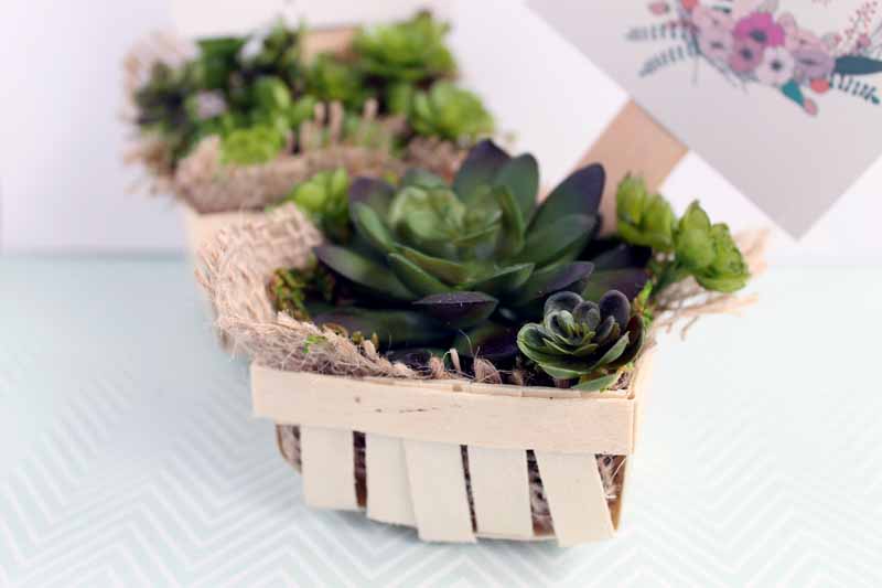 artificial succulents gift