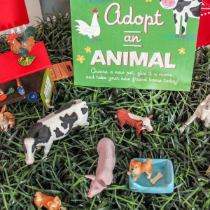 Adopt an Animal by Just Add Confetti