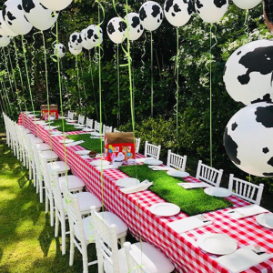 Barnyard Farm Birthday Party by Kata's Party Ideas