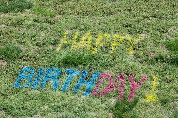 "happy birthday!" written in spray chalk on the lawn