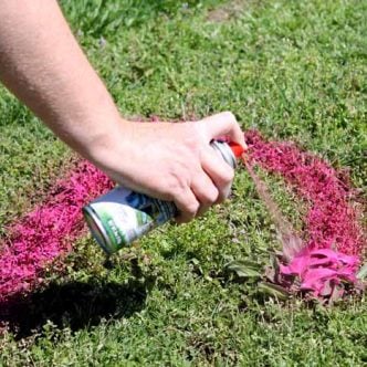 Creative prom proposal ideas using spray chalk that washes away!