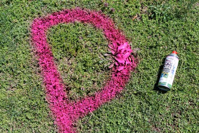 spray chalk on green grass