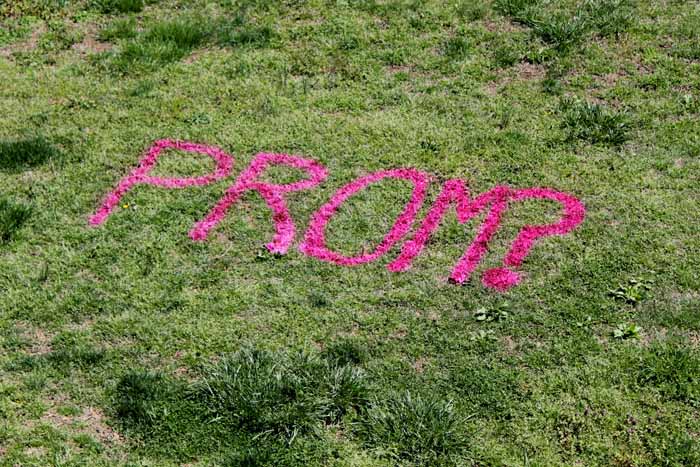 the word "prom?" written in spray chalk on the lawn