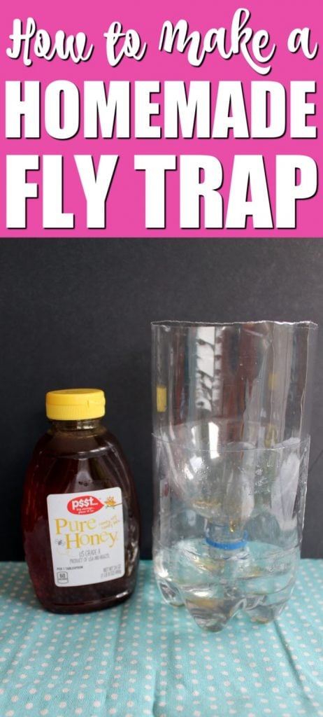 homemade fly trap