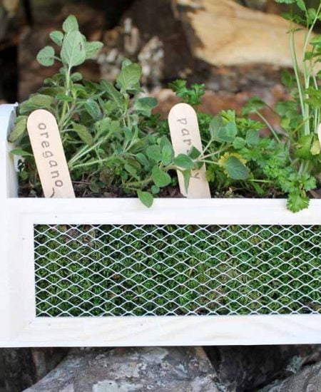 Make this herb garden planter in just minutes! A fun way to add some herbs to your patio this spring!