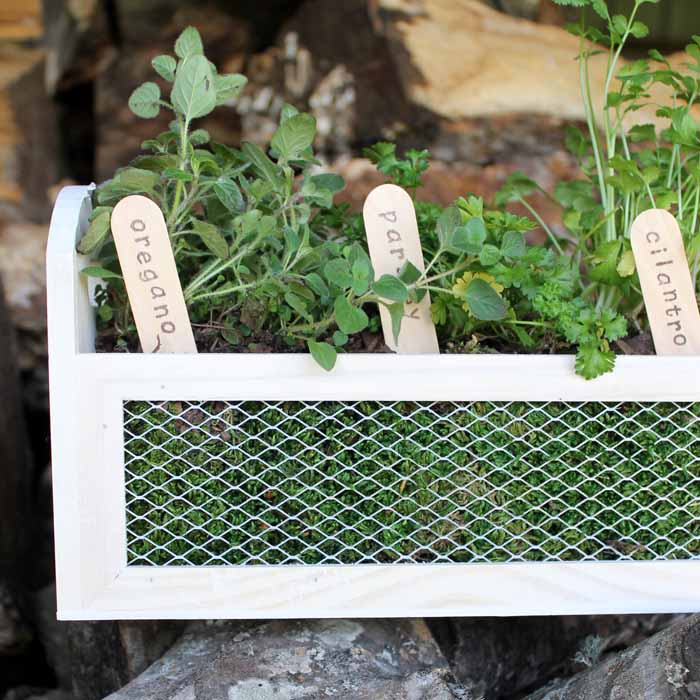 Make this herb garden planter in just minutes! A fun way to add some herbs to your patio this spring!