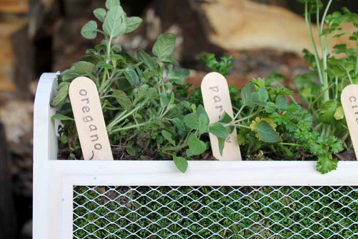 Make this herb garden planter in just minutes! A fun way to add some herbs to your patio this spring!