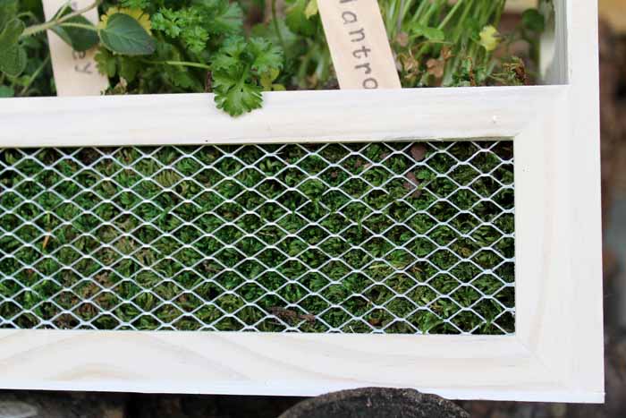 Make this herb garden planter in just minutes! A fun way to add some herbs to your patio this spring!