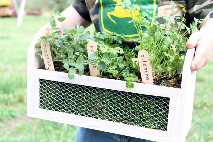 Make this herb garden planter in just minutes! A fun way to add some herbs to your patio this spring!
