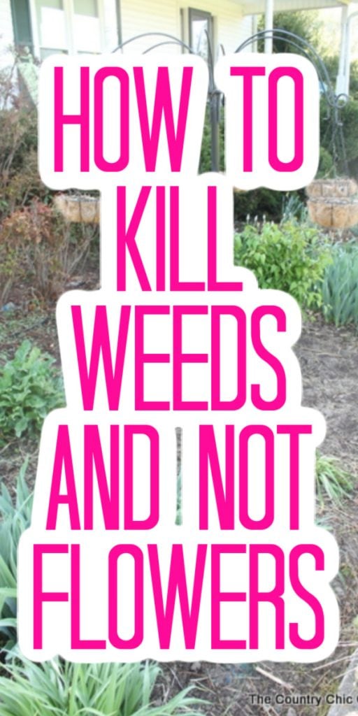 Spray this in your flower beds to kill weeds but leave the flowers alone! Your gardening will be so much easier with this product! #garden #gardening #flowers #flowerbeds #killweeds