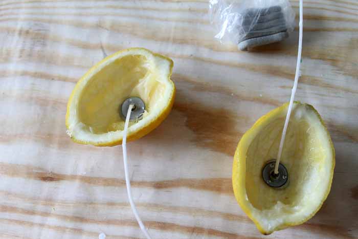 wick tabs in lemon peel halves