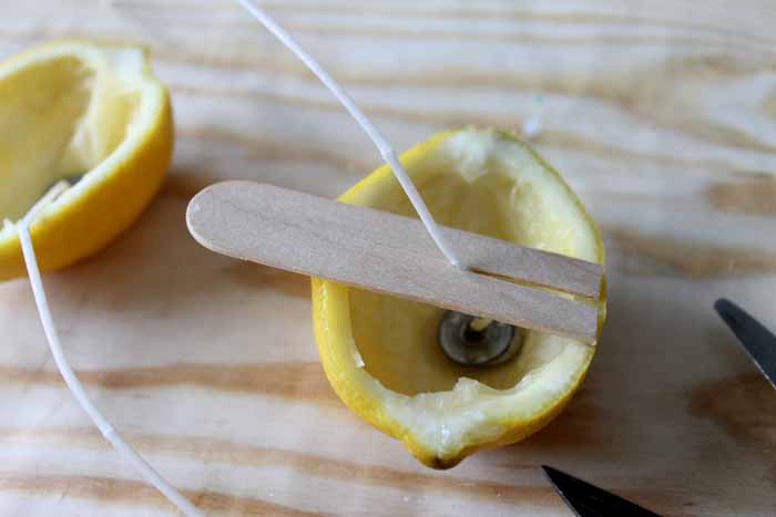 using a craft stick to hold up candle wick in lemon half