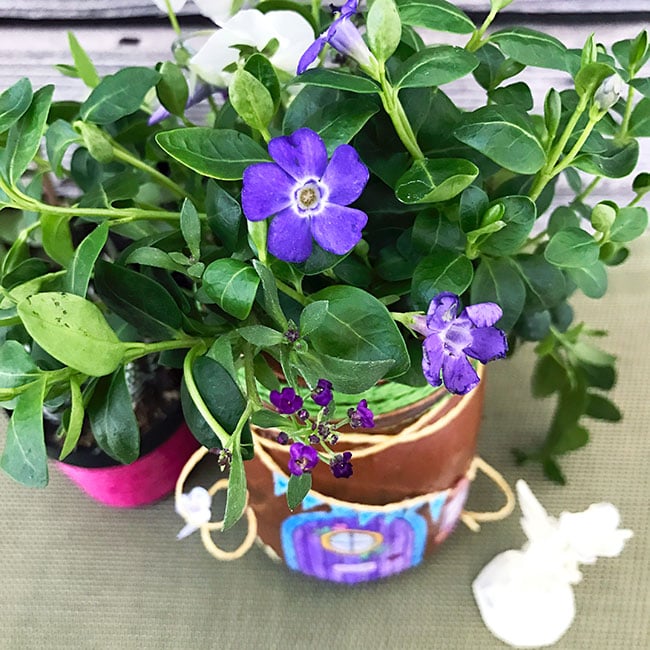 You can use this mason jar fairy home as a planter for colorful flowers