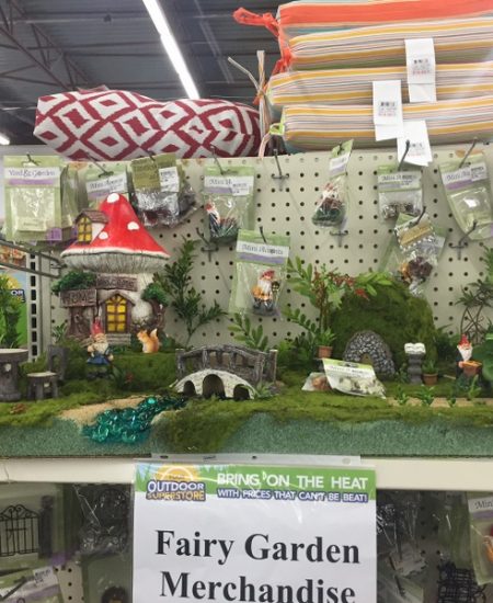 Miniature fairy garden - supplies and ideas!