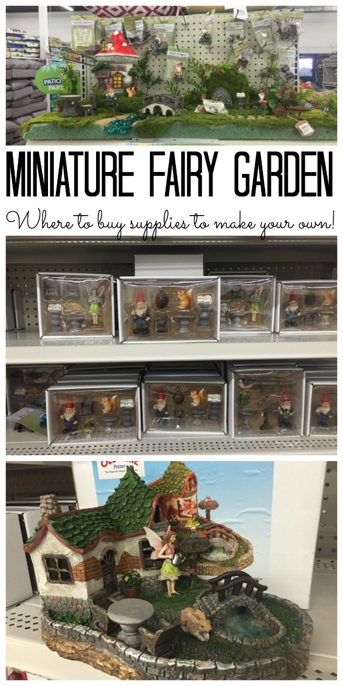 Miniature fairy garden - supplies and ideas!