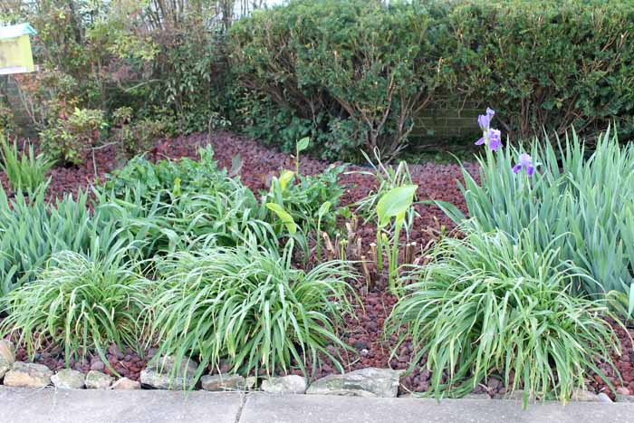 Mulch Alternatives - adding curb appeal to your home with alternatives to traditional landscape materials!