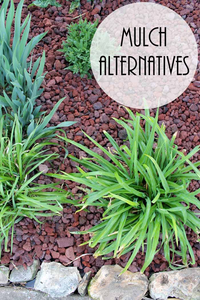 Mulch Alternatives - adding curb appeal to your home with alternatives to traditional landscape materials!