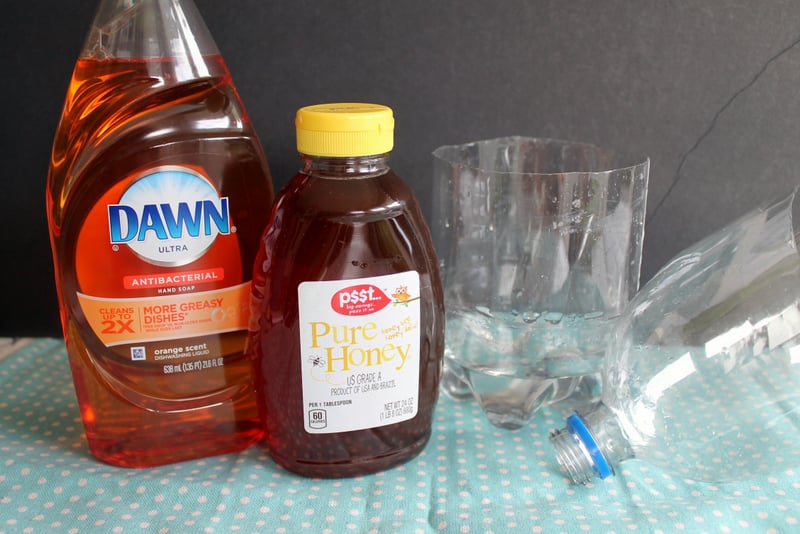 Honey and dish soap make a great natural fly trap that will keep those pesky flies out of your space