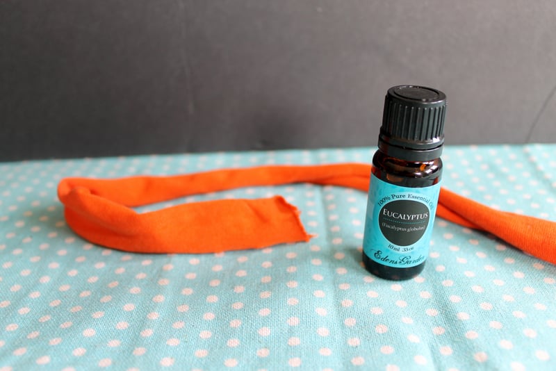 eucalyptus essential oil is a great way to naturally repel flies