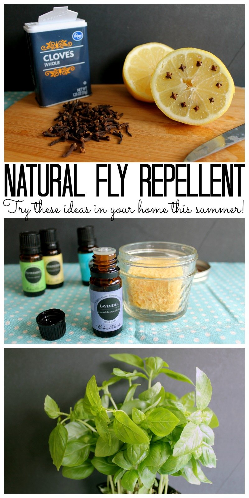 Use these natural fly repellent methods to keep flies out of your home this summer.