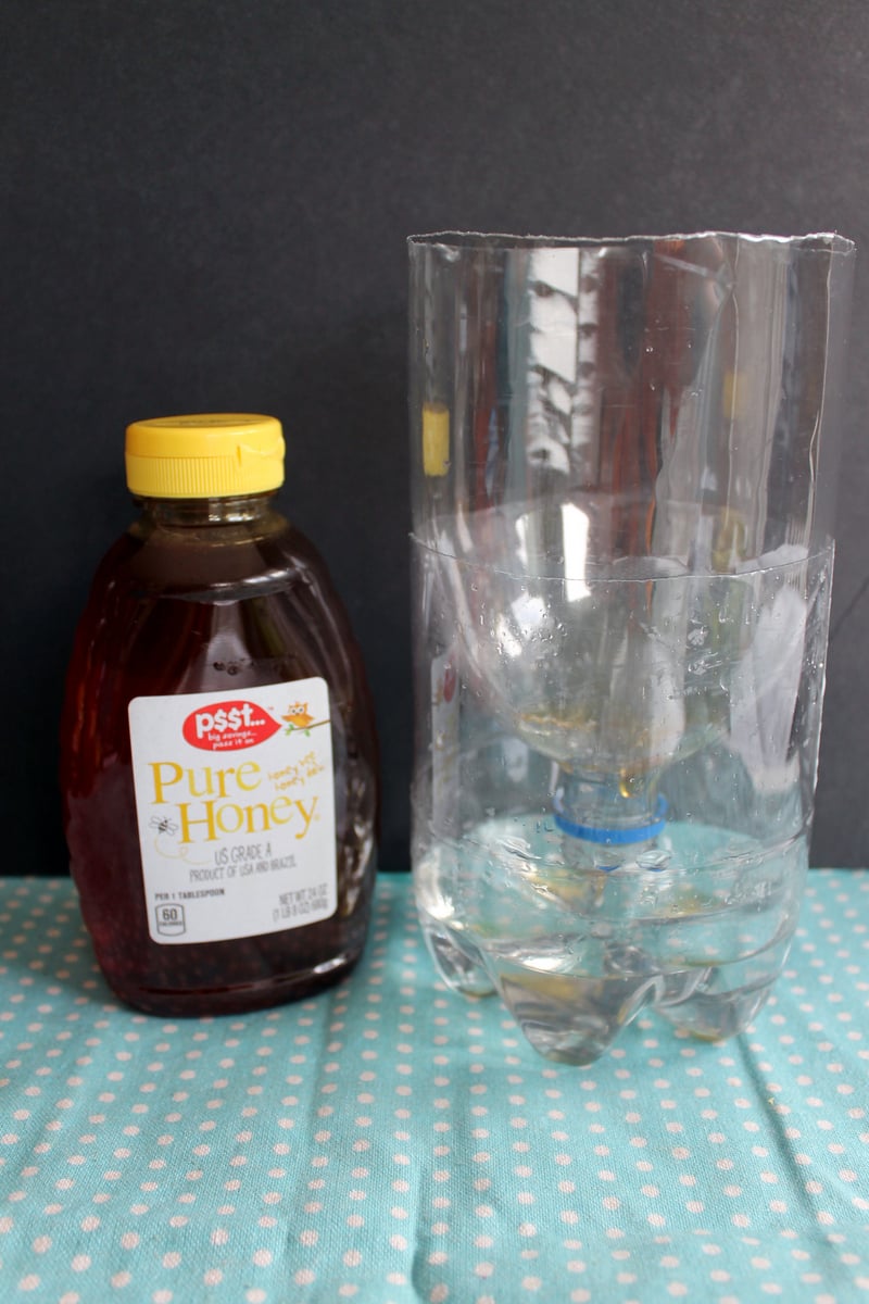 Use an empty soda bottle and honey to create a natural fly trap