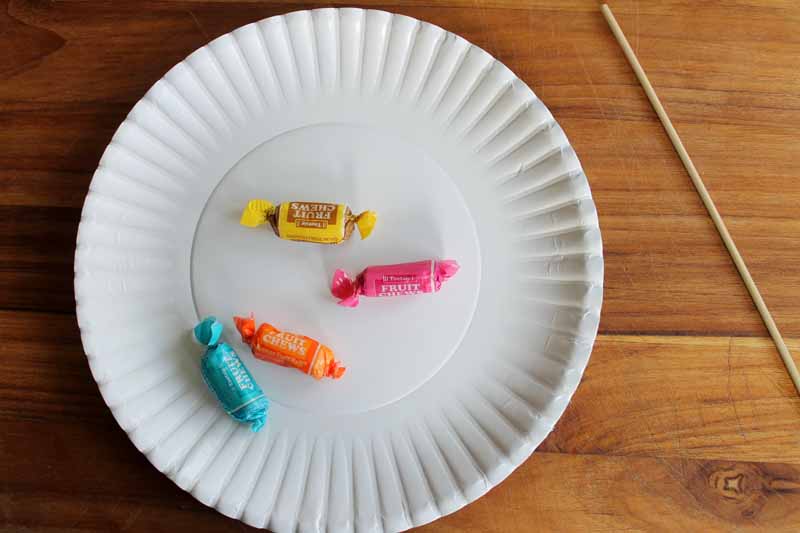 four colored fruit chews in wrappers on white paper plate