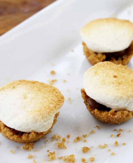 Make indoor s'mores with these s'mores bites! A quick and easy recipe!