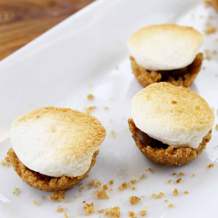 Make indoor s'mores with these s'mores bites! A quick and easy recipe!