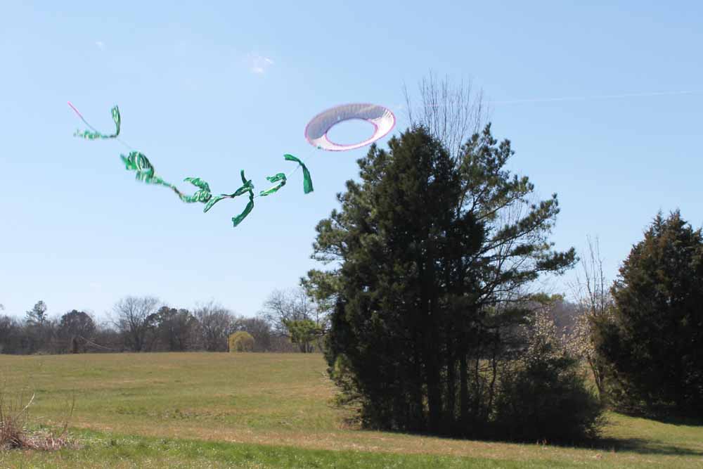 This easy paper plate kite craft is perfect for children