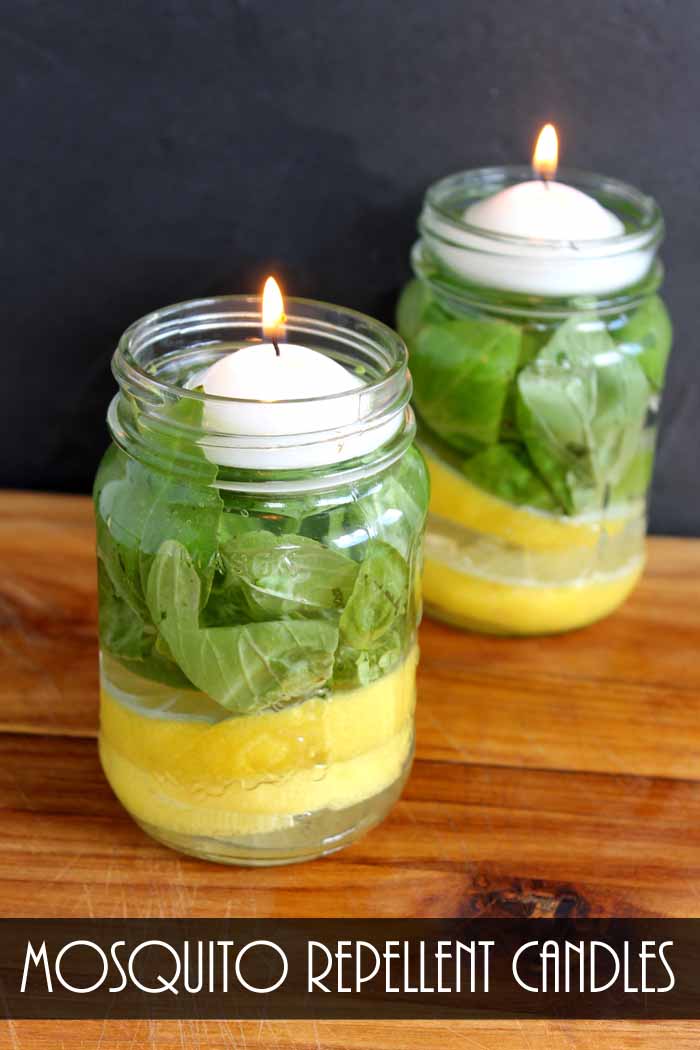 lit mosquito repellent candles with lemon slices and basil leaves in mason jars with text overlay