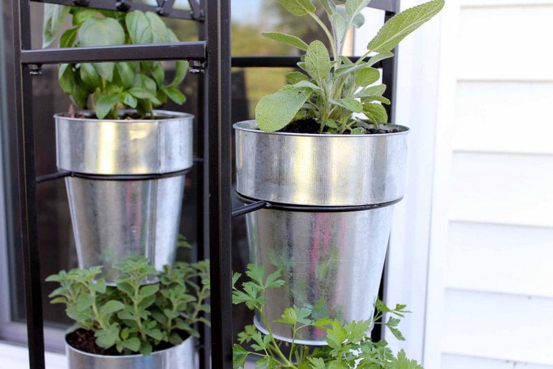 buckets hanging on a metal rack with herbs planted in them