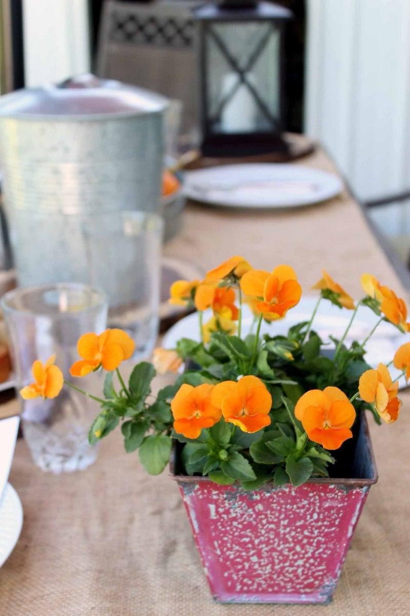 orange flowers in a planter on a table