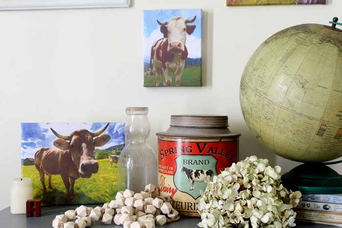 Cow canvas and farmhouse decor