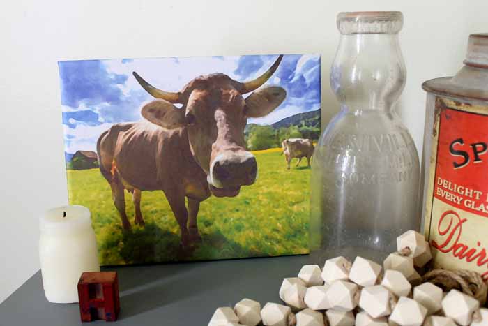 Cow print with decor
