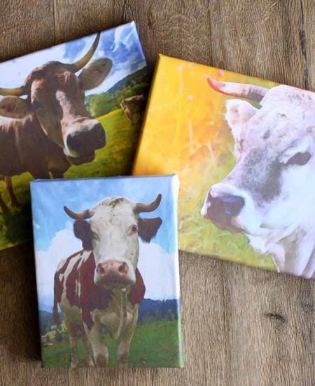 Make a cow canvas with a free printable cow image and some Mod Podge!