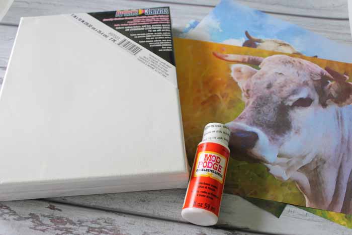 Supplies for cow print on canvas