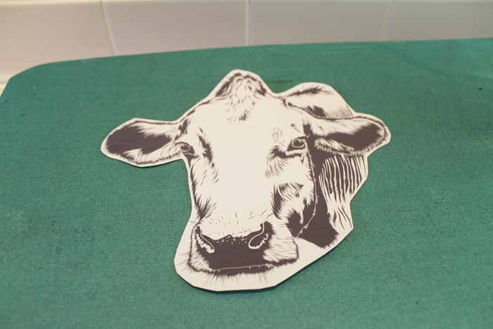 Make this farmhouse pillow for your home in a few simple steps! You will love the cow silhouette!