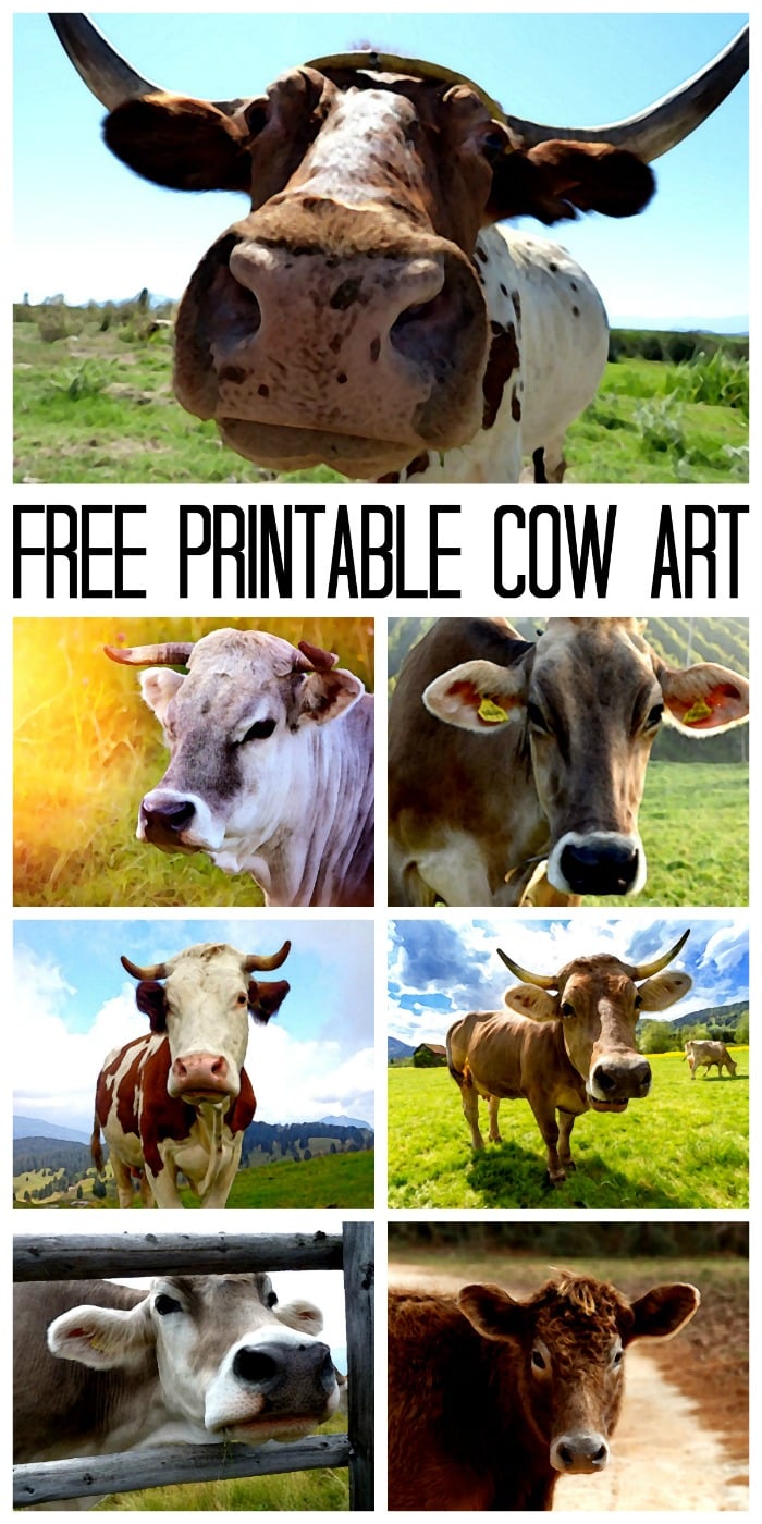 Pin image of cow prints with text overlay saying "Make a cow canvas "