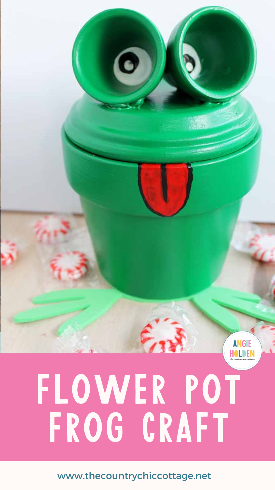 Pinterest Hidden Image