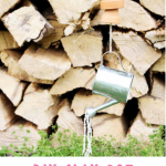 Pinterest Hidden Image