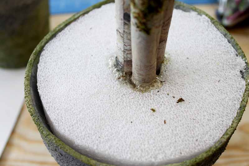 close up of planter with sticks coming out of white styrofoam