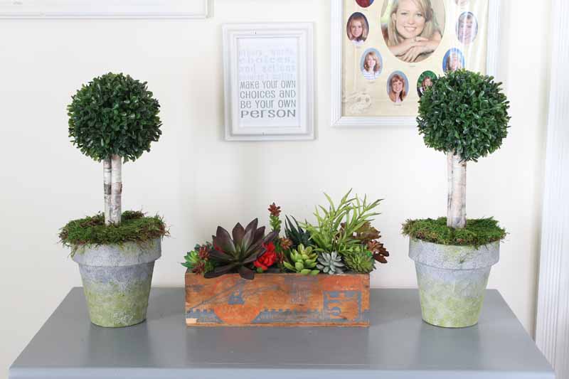 orange box with succulents and two boxwood topiaries in front of a gallery wall