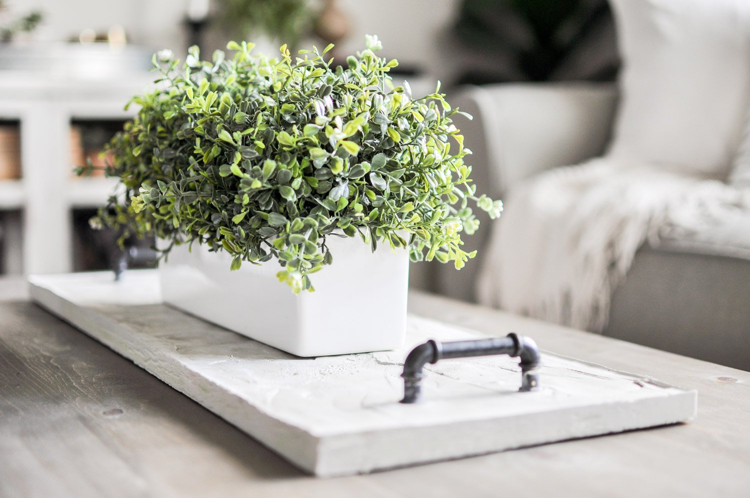 concrete tray with industrial handles and a potted greenery